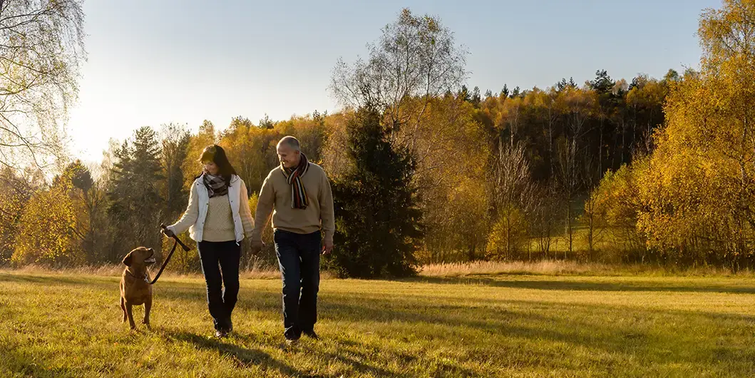 Couple walking a dog across a sunlit field surrounded by fall foliage