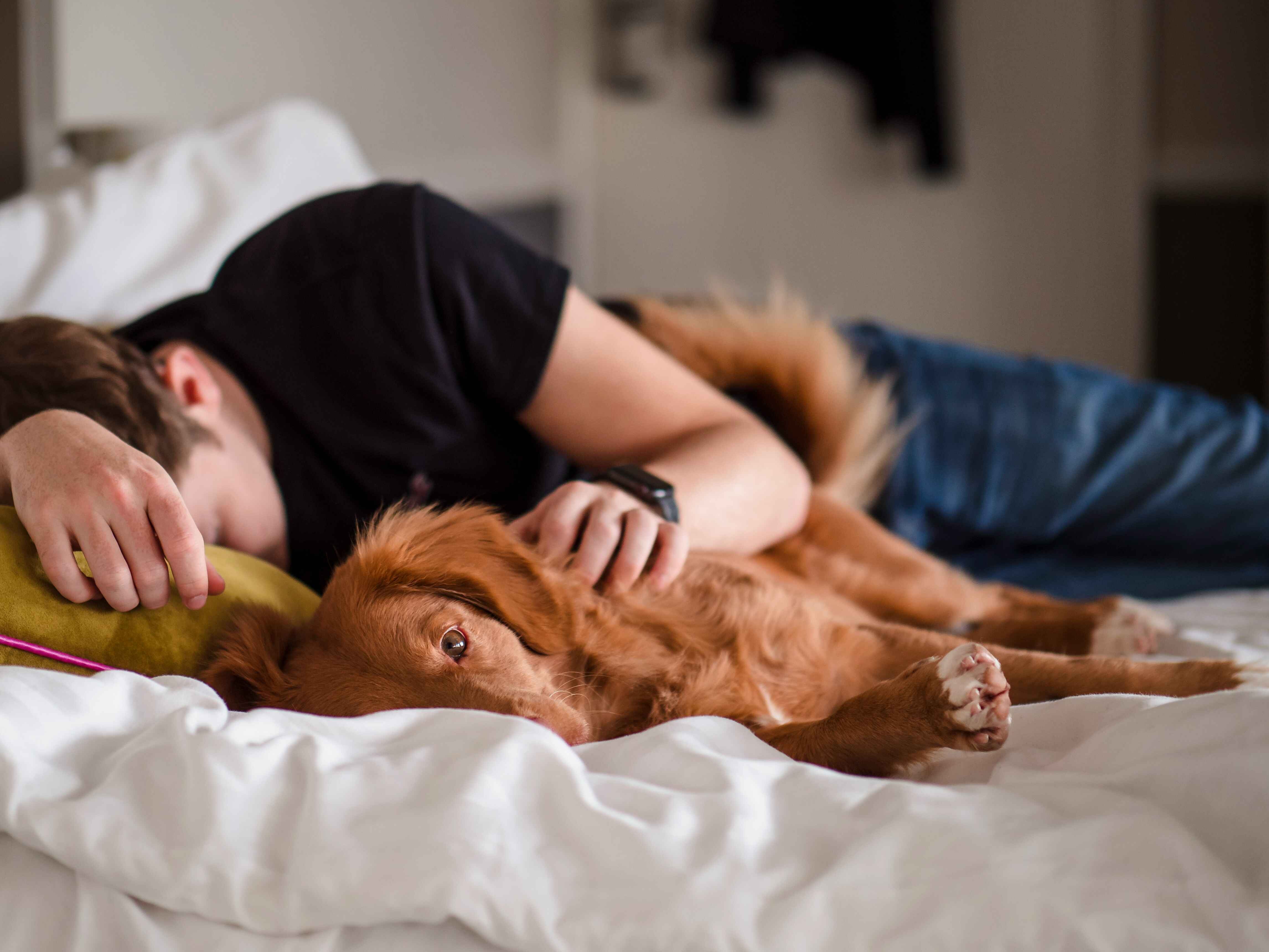 How does sleep affect testosterone?